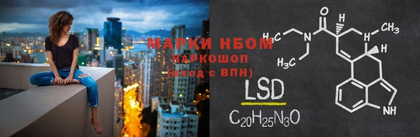 бошки Новозыбков