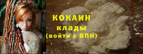 a pvp Няндома