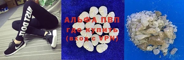 дживик Тайга