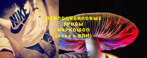 прущая мука Новодвинск