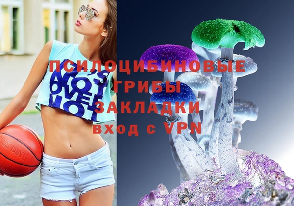 прущая мука Новодвинск