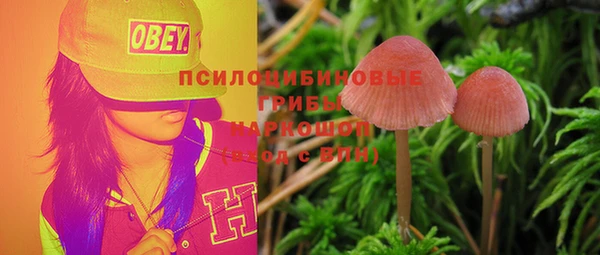 бошки Новозыбков