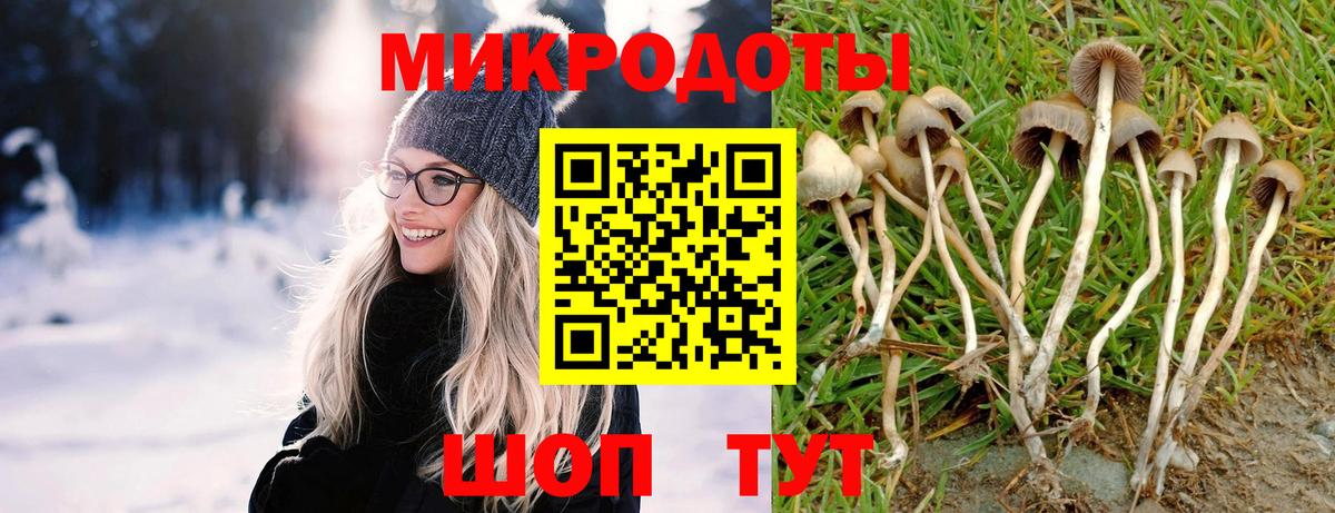 Галлюциногенные грибы мицелий  Псилоцибиновые грибы прущие грибы  Усть-Кут  Вход с VPN 