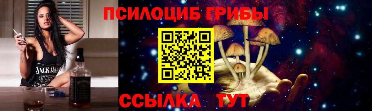 Псилоцибиновые грибы Psilocybine cubensis Усть-Кут